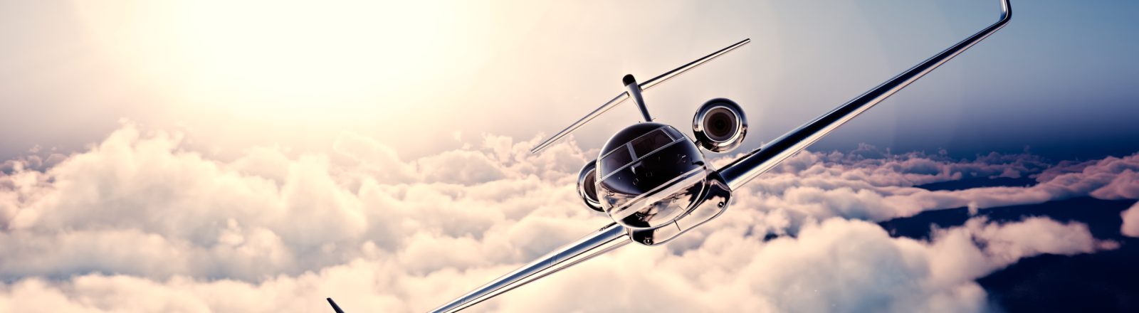 Medicinflyg? Privatflyg med djur?